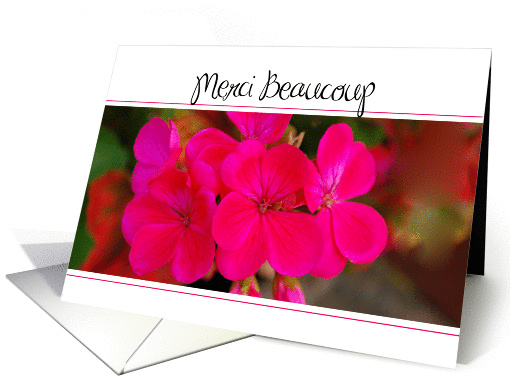 thank you french card (308565)