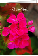 thank you card