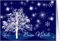 Buon Natale Messages.Italian Christmas Cards From Greeting Card Universe