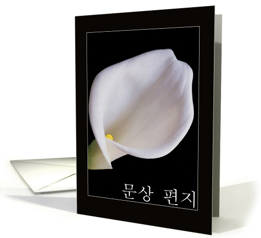lily condolences korean card (367471)