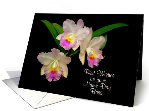 best wishes on your name day boss orchid card (528975)