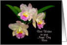 best wishes on your name day boss orchid card