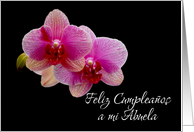 spanish aunt happy birthday card