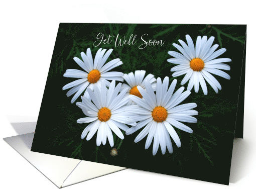 white daisies get well soon card (556916)
