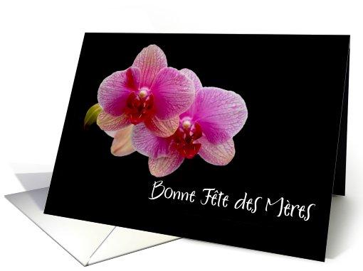 Happy mother's day french 2 hot pink orchid card (556957)