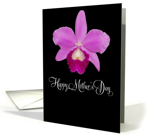 mother's day card with isolated pink Cattleya orchid card (56671)