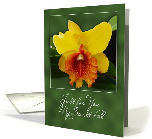 For you secret pal yellow orange orchid card (656374)