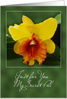 For you secret pal yellow orange orchid card