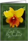 For you secret pal yellow orange orchid card