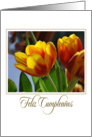 golden tulips Spanish Feliz Cumpleanos card