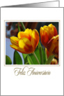 golden tulips portuguese feliz aniversario card