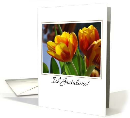 golden tulips German congratulations card (668615)