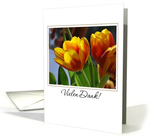 golden tulips German thank you card (668617)