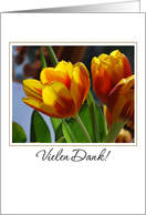 golden tulips German thank you card