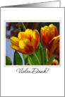 golden tulips German thank you card