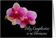 Happy birthday sister spanish 2 purple orchids card