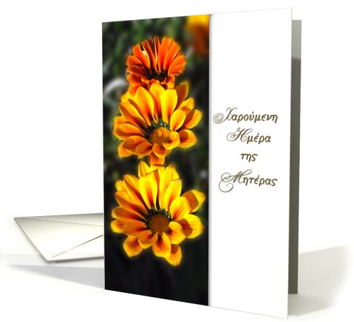greek Mother's Day card yellow gazanias card (808640)