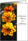 greek Mother’s Day card yellow gazanias card