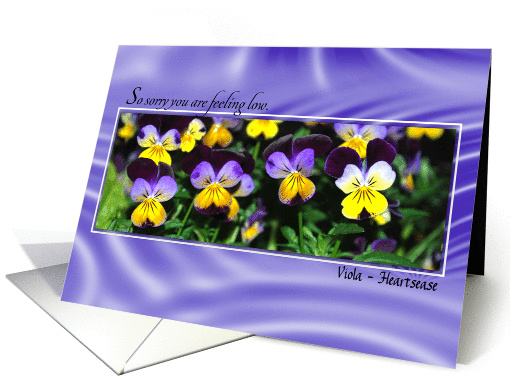 sorry you are sad, violas card (837060)