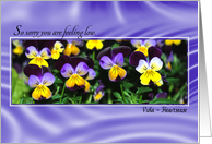 sorry you are sad, violas card