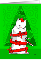 Christmas Cat Wrapped in Red Ribbon card