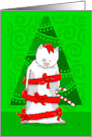 Christmas Cat Wrapped in Red Ribbon card