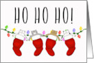 Ho Ho Ho! Cats in Christmas Stockings card