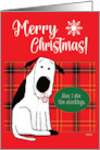 Christmas Dog Ate the Stockings card