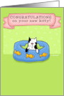 Cute Congratulations on Your New Kitten Cat card