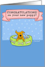 Cute Congratulations on Your New Puppy card