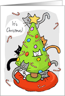 Cats in Christmas Tree Candy Canes Flying card