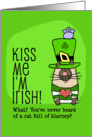 Kiss Me I’m Irish, Cat, Leprechaun hat card