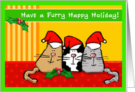 Funny Christmas Festive Cats in Santa Hats with Holly card