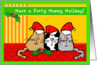 Funny Christmas Festive Cats in Santa Hats with Holly card