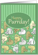 Happy Birthday Happy Purrday with Cats card