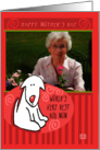 Photocard Mother’s Day World’s Best Dog Mom card