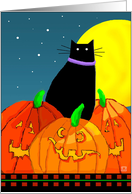 Halloween Black Cat...