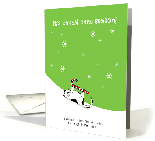 Christmas Cat in Snow Denies Eating Candy Cane card (1803834)