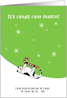 Christmas Cat in Snow Denies Eating Candy Cane card