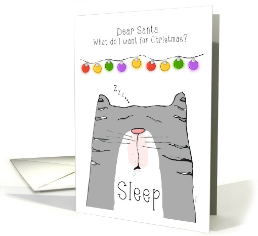 Dear Santa Cat Wants Sleep for Christmas card (1804672)