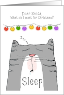 Dear Santa Cat Wants Sleep for Christmas card