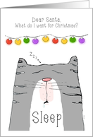 Dear Santa Cat Wants...