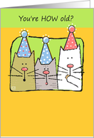 You’re How Old Cute Cats in Birthday Party Hats card
