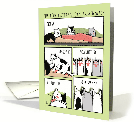 Funny Spa Treatments With Cats for Your Birthday card (631579)