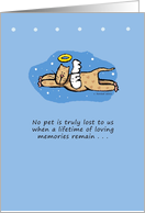 Pet Loss, Cat, Angel card