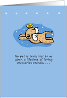 Cute Dog Angel Among Stars Pet Loss card