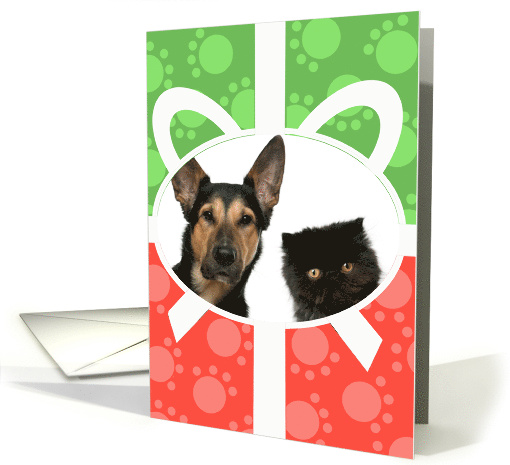 Holiday Photo card with Cat or Dog Paw Prints and Ribbon Effect card