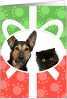 Holiday Photo card with Cat or Dog Paw Prints and Ribbon Effect card