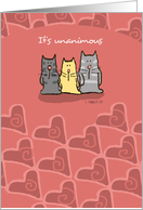 Valentine’s Day Cute Cats on Pink with Hearts card