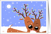 Nuzzling Christmas Reindeer with Lights card